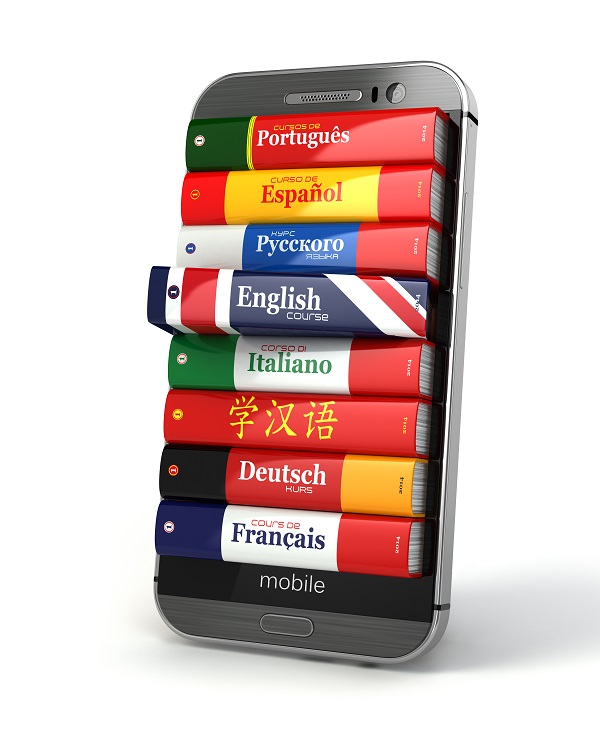 MODERN LANGUAGES PROFESSIONAL DIPLOMA PROGRAMS